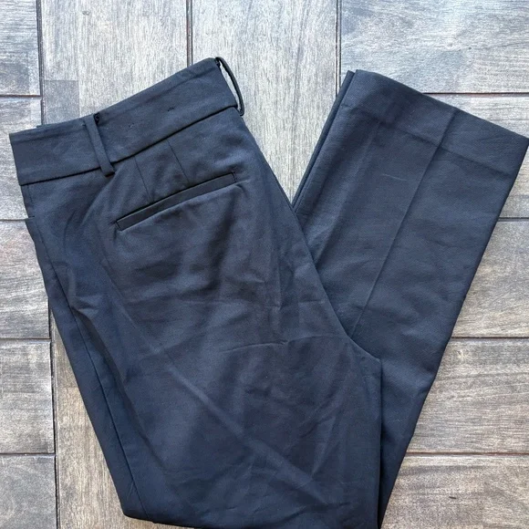 $18 NWT Ann Taylor Dress Pants SZ 10 - Picture 3 of 4